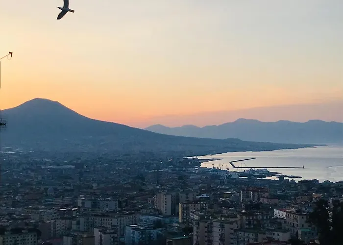 Pacifico Alojamento de Acomodação e Pequeno-almoço