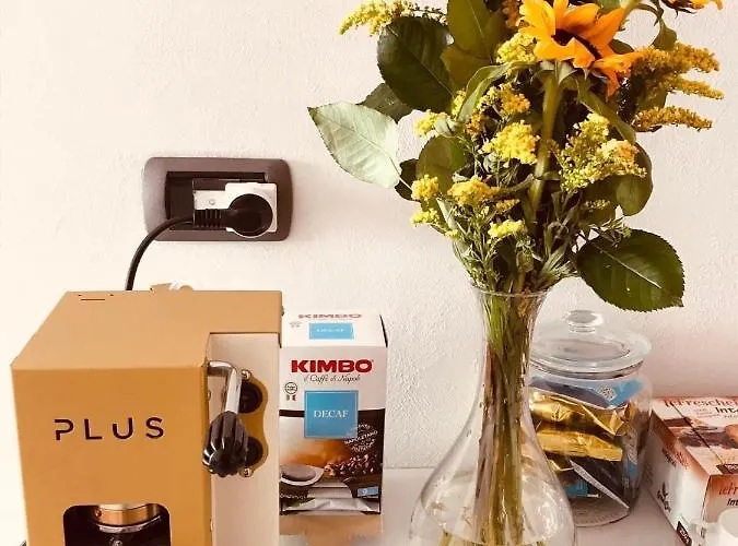 Pacifico Alojamento de Acomodação e Pequeno-almoço 4*